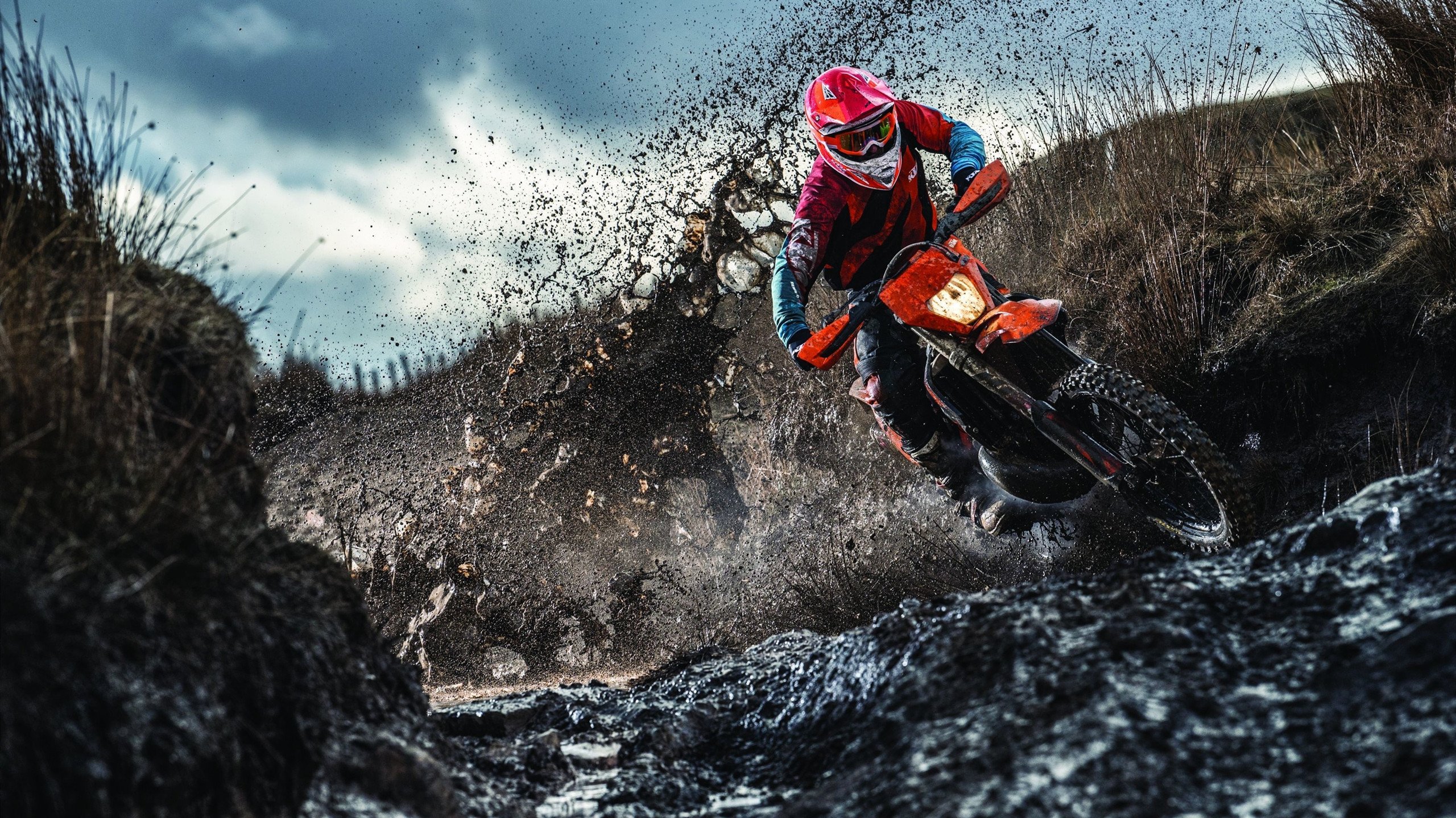 青少年运动兴趣激发路径与长期参与策略研究，青少年运动能力发展的规律与趋势