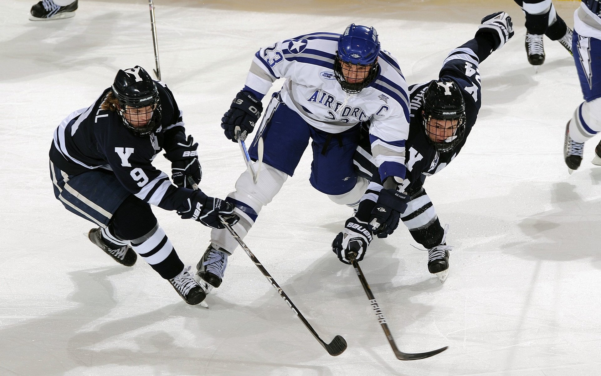法甲新星崛起：光芒耀眼，未来无限可能！
